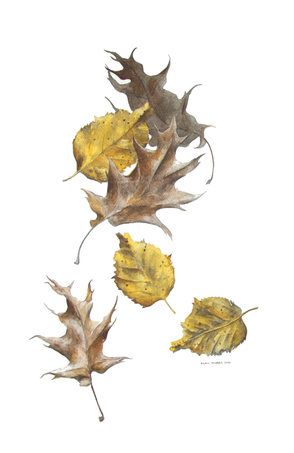 Falling Together, 2021, Watercolour on Paper, 22 by 15 Inches